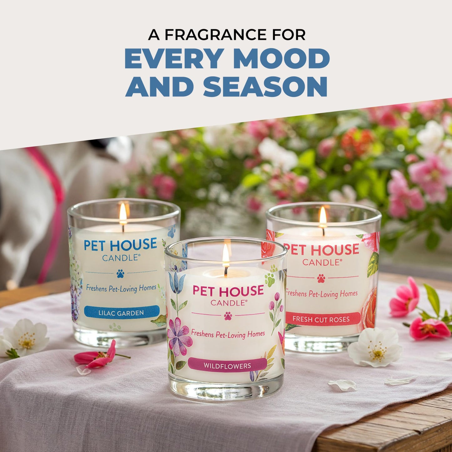 Pet House Candles, Soy-Based, Long Burning Scented Candles for Pet Homes, 60 Hour Burn Time - Watermelon Mojito, 9 oz