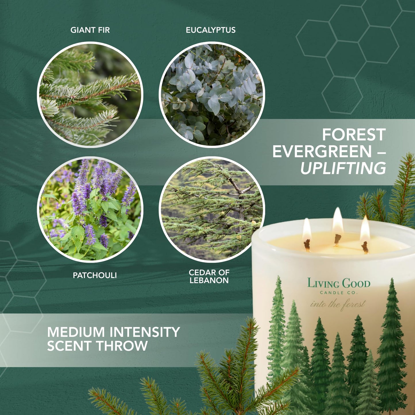 Into The Forest – Pine & Eucalyptus Essential Oils – Pure Beeswax Candle – Fresh, Calming Aromatherapy for Stress & Anxiety Relief – 90+ Hour Burn – Inspired by the Pacific Northwest - 15 Oz