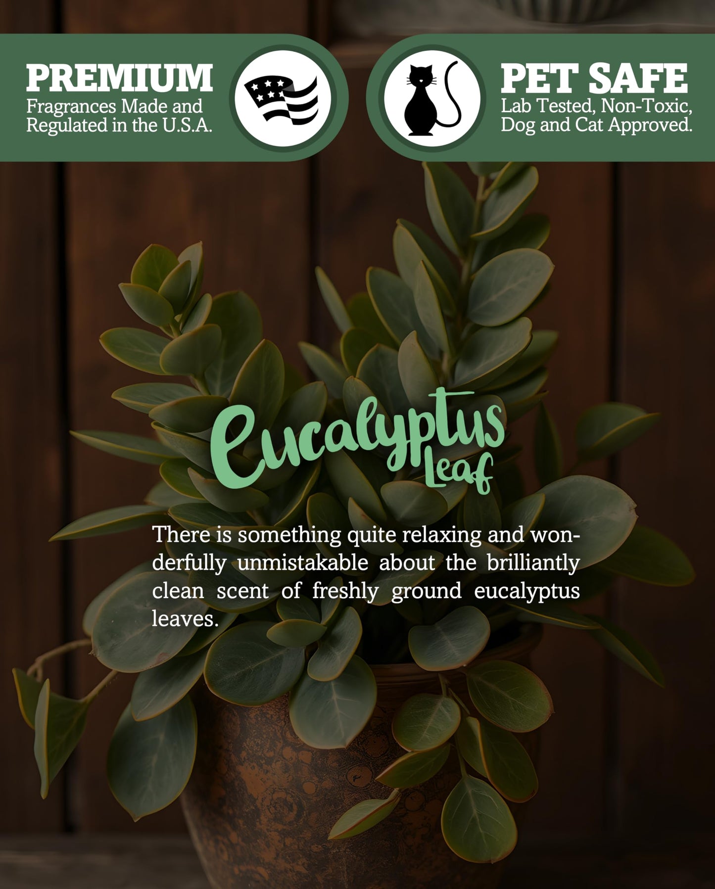Eucalyptus Leaf Premium Tealight Candles Multi Pack - Highly Scented with Essential & Natural Oils - 12 Green Tea Lights - Beautiful Candlelight - Made in the USA - Fresh & Clean Collection