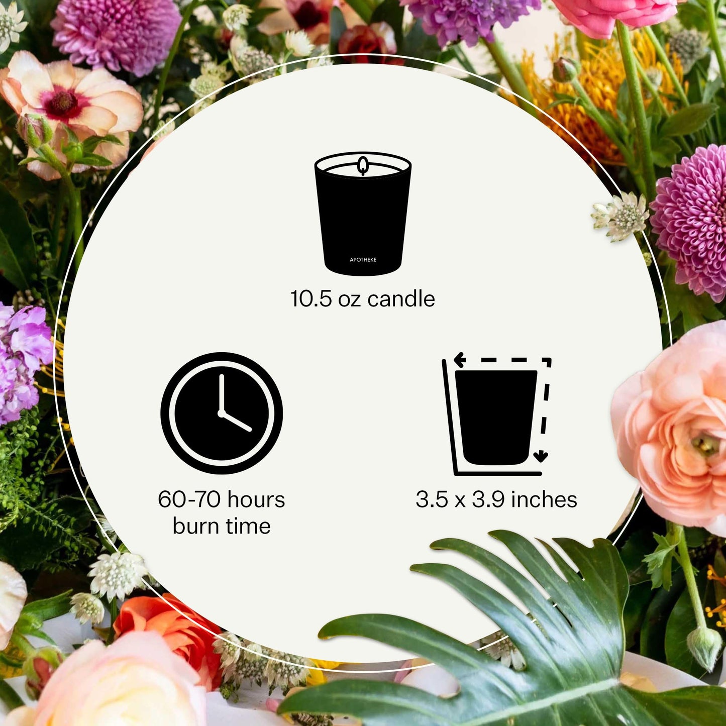 Apotheke Signature Scented Candles for Home, Bergamot Tangerine - 10.5 oz - Soy Wax, Non Toxic, Large Jar White - Luxury Candle Gifts for Women & Men - Vanilla, Amber, Dahlia, and Champagne