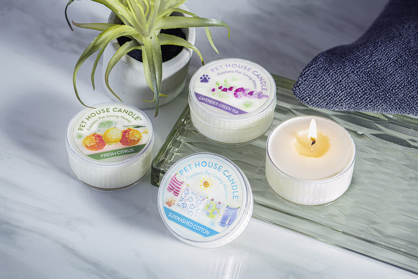 Pet House Mini Candles for Pet Odor Made with Natural Soy Wax, Plant Based, Dog and Cat Friendly Scented Candles, Fresh Citrus Pack of 3