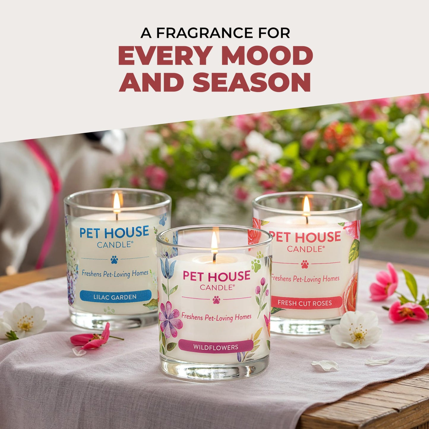 One Fur All Pet House Candle 2 Pack - Plant-Based/Soy - Clean Burning Scented, Long Lasting Pet Odor Candle for Home - Elderberry Jam