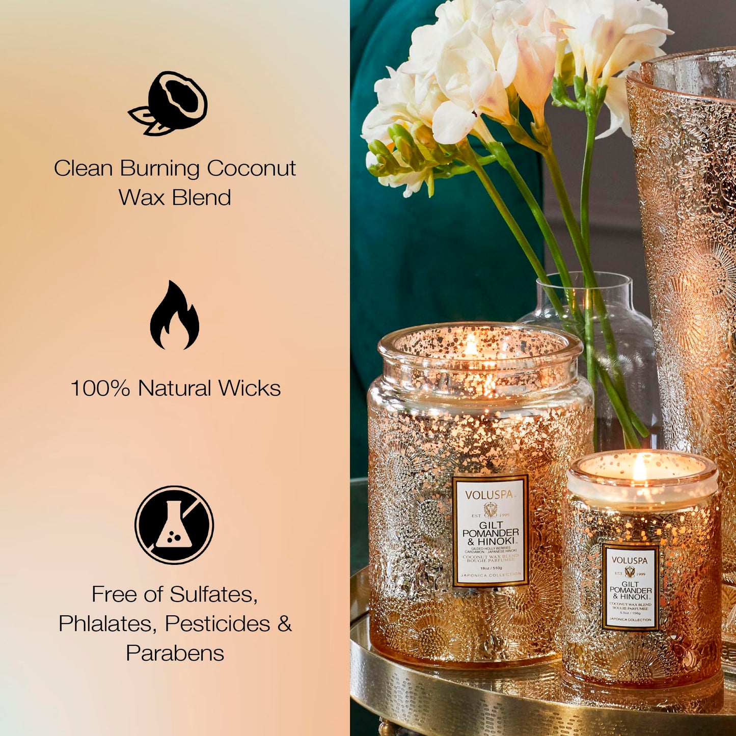 Gilt Pomander Hinoki, Large Candle Jar, 18 oz, 100 Hour Burn Time, Coconut Wax for Clean Burning, Handcrafted in the USA