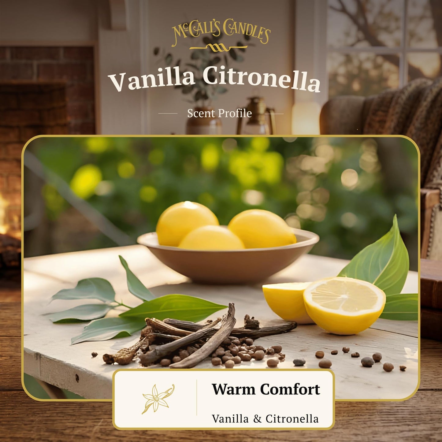 McCall’s Candles | Vanilla Citronella | 16 oz Two-Wick Scented Candle | USA-Poured | Vintage Mason Jar with Carrying Handle | Outdoor Patio Candle with Fresh Vanilla & Citrus