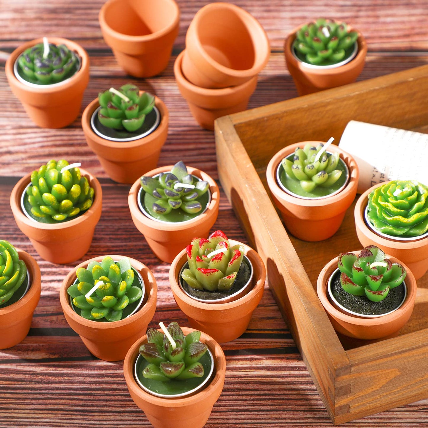 Treela 18 Pcs Succulent Cactus Tealight Candles Handmade Tea Lights Baby Shower Plant Candle Gift with Mini Terracotta Clay Candle Holders for Home Birthday Christmas Wedding Party(Cute)