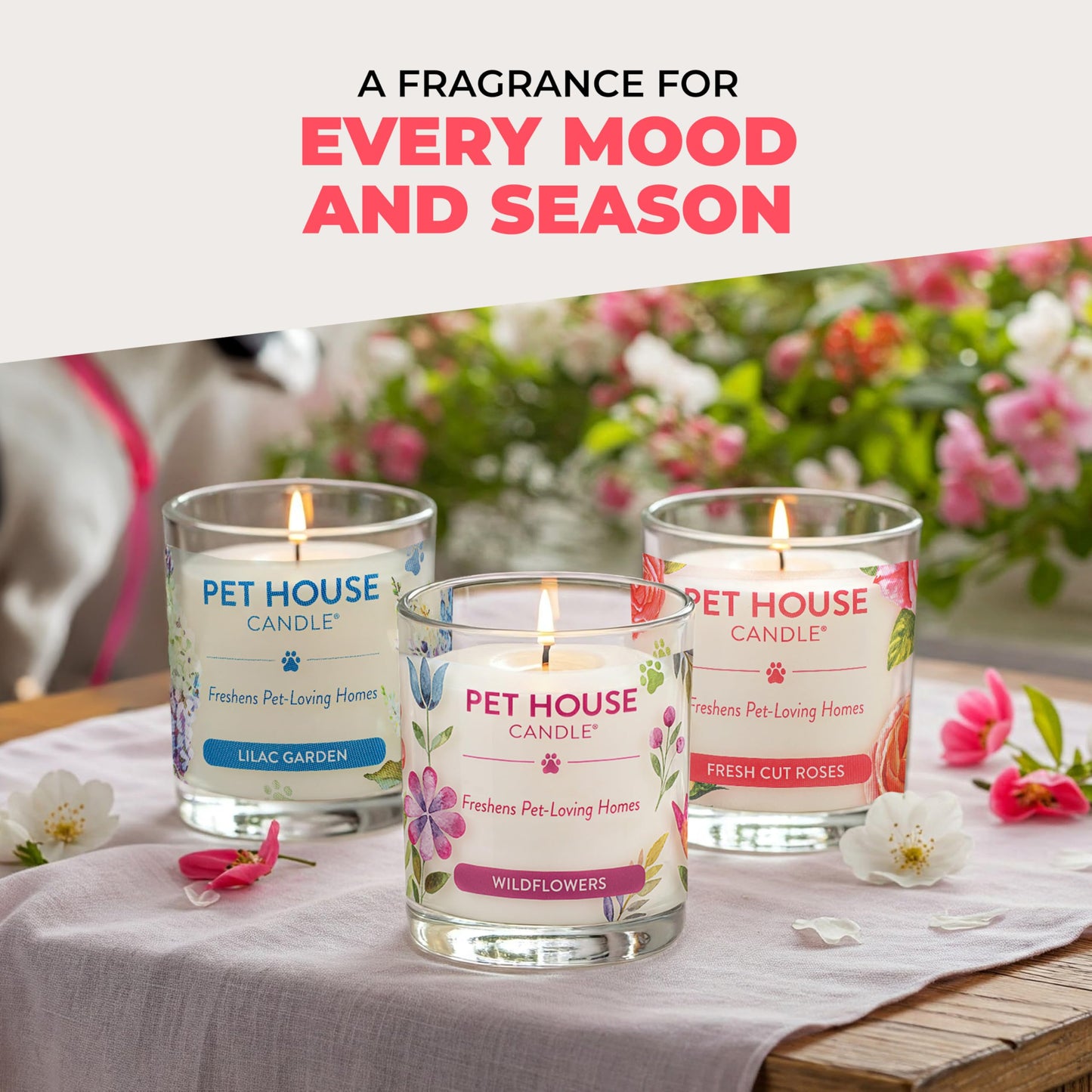 Pet House Candles, Long Burning Scented Candles for Home, Plant-Based, 60 Hour Burn Time - Lilac Garden and Fresh Cut Roses, 9 oz, 2 Pack