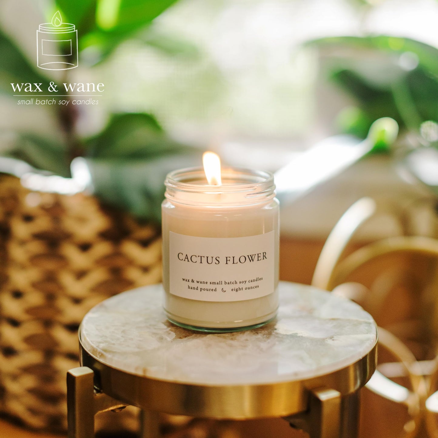 Wax & Wane Cactus Flower Modern 8oz Handmade Candle For Men and Women - Long Burning 40+ Hours Candles For Home, Bedroom, and Bathroom - 100% Natural Soy Candles Made in the USA