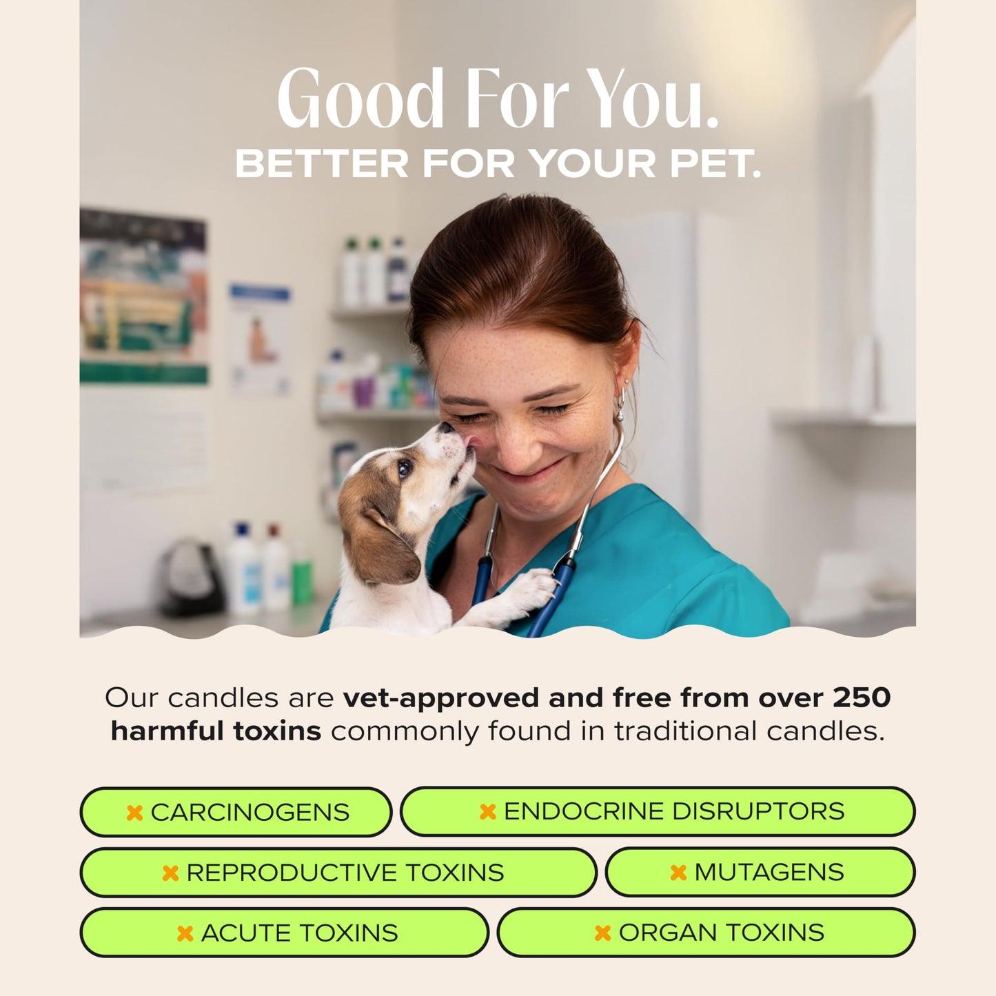 Companion Candles You Got This! Pet-Friendly Scented Candle – Tropical Nectar & Fruits Fragrance - Coconut Soy Wax Candle with Wooden Wick, Approx. 50-Hour Burn Time, Made in USA, 11.8 oz