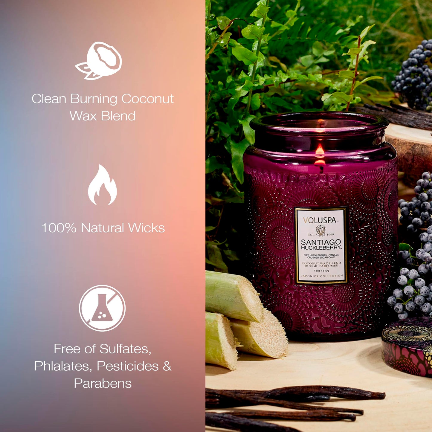 Voluspa Santiago Huckleberry, Large Candle Jar, 18 oz, 100 Hour Burn Time, All Natural Wicks and Coconut Wax for Clean Burning, Vegan, Poured in The USA