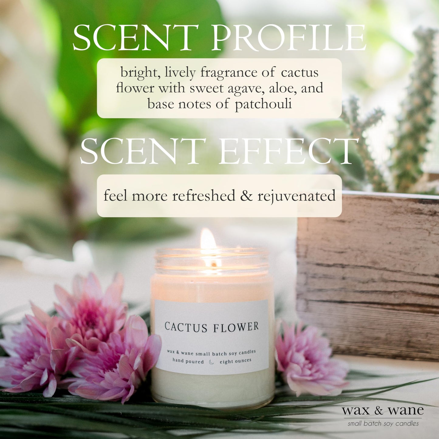 Wax & Wane Cactus Flower Modern 8oz Handmade Candle For Men and Women - Long Burning 40+ Hours Candles For Home, Bedroom, and Bathroom - 100% Natural Soy Candles Made in the USA