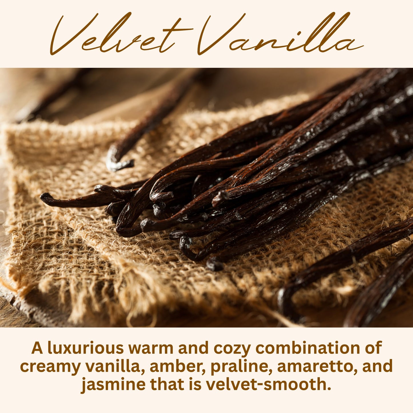 Velvet Vanilla Scented Candle, Many Scents to Choose from, All Natural Non-Toxic Soy Wax, Handmade in the USA (Velvet Vanilla)