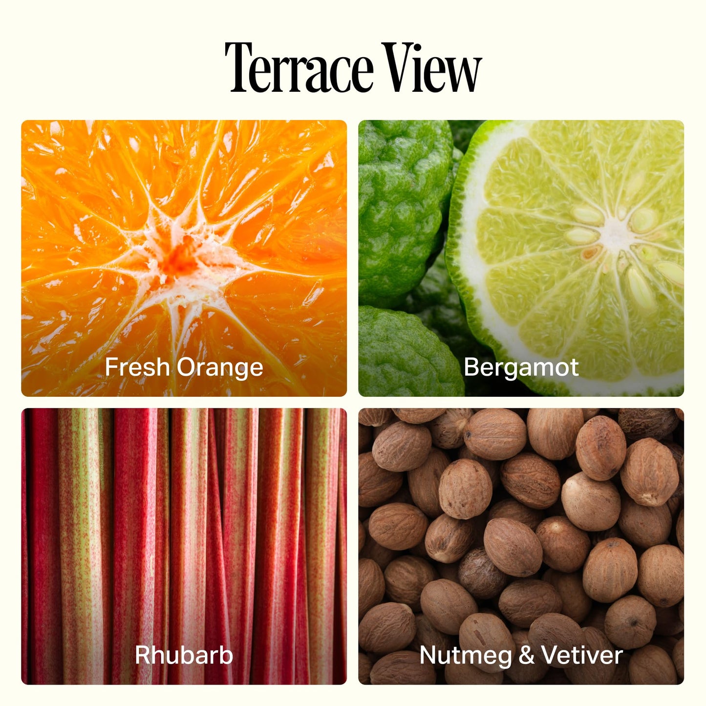 Preston Lane Luxury 2-Wick Scented Candle, Terrace View, 7.5 oz Hand-Poured in USA | Long Burn Time (20–30 Hrs), Vegan Soy Wax Blend, Decorative Glass Vessel, Fine Italian Fragrance