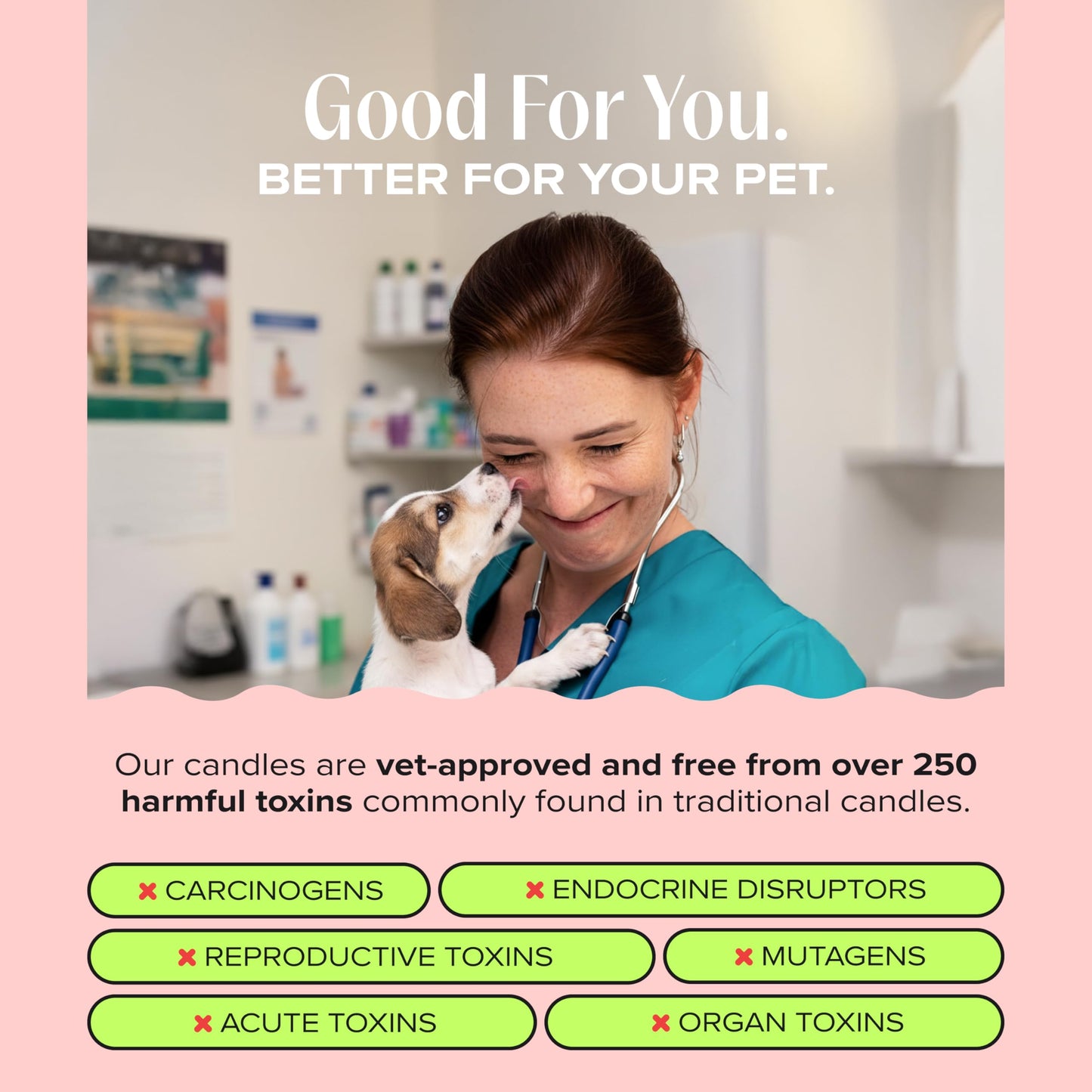 Companion Candles Anywhere with You Pet-Friendly Scented Candle – Grapefruit & Vanilla Fragrance - Coconut Soy Wax Candle with Wooden Wick, Approx. 50-Hour Burn Time, Made in USA, 11.8 oz