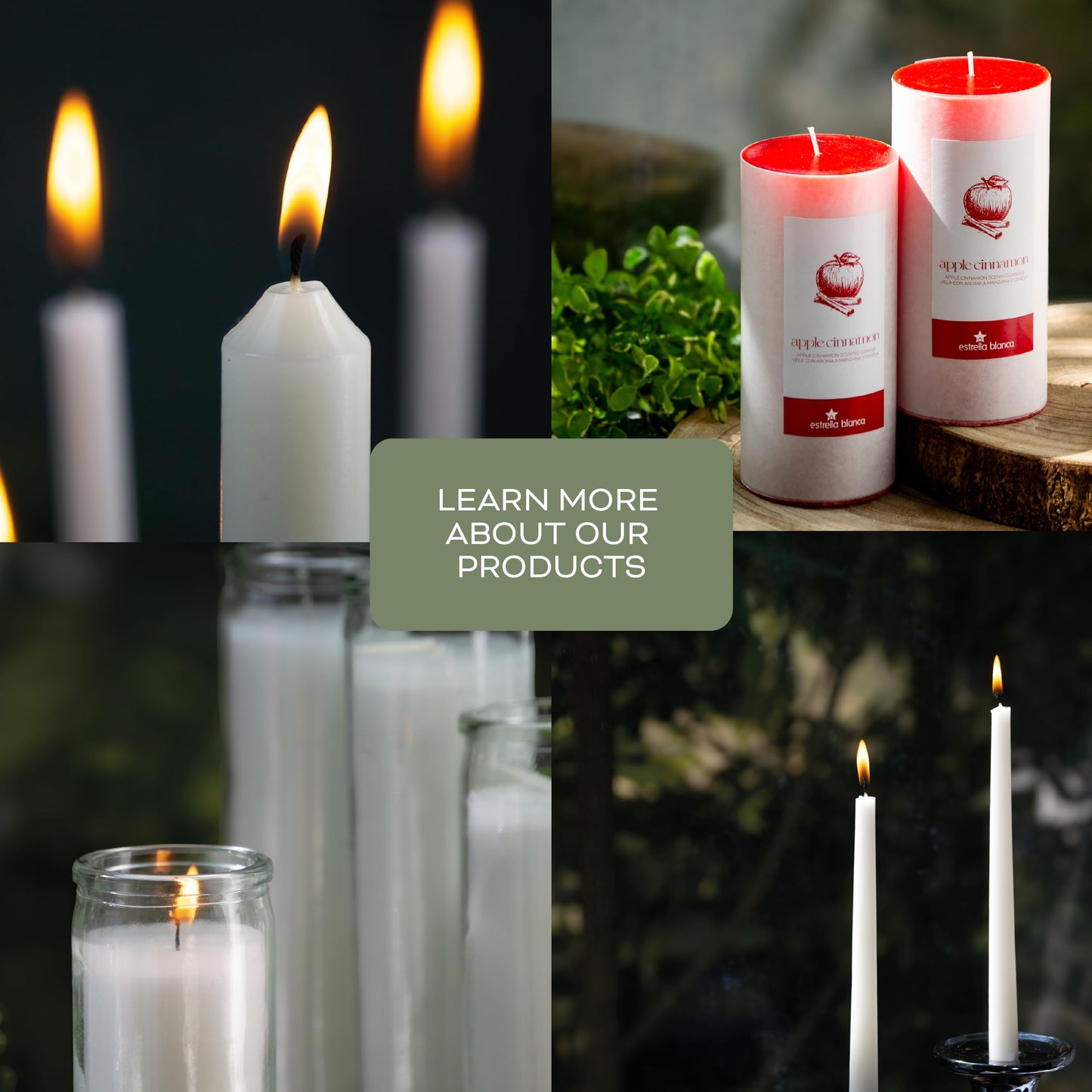 Estrella Blanca 7oz Eucalyptus and Sage Scented Candle, Candles for Home Scented, Soy Blend Wax Candle, Gift for Women Men, Long Burning Candle