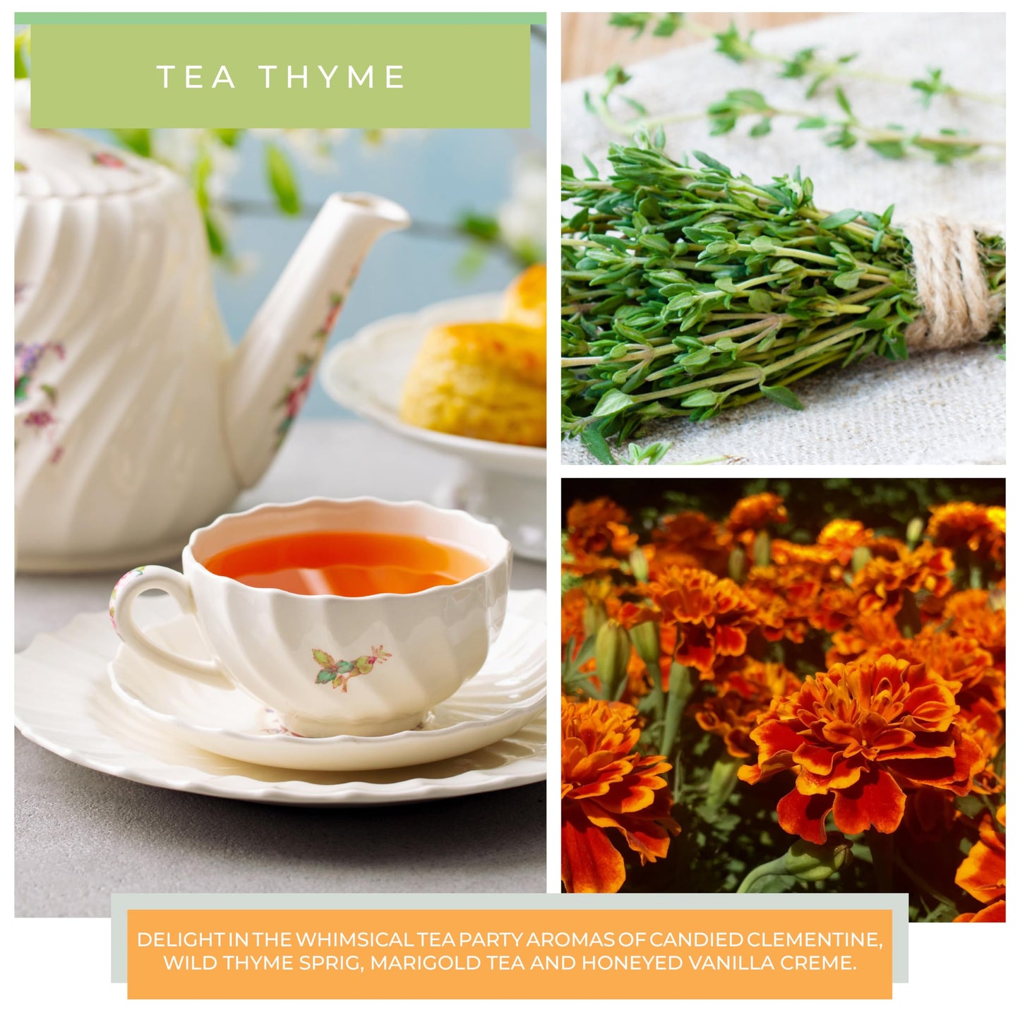 A Cheerful Giver — Tea Thyme - 22oz Mama Scented Candle Jar with Lid - Keepers of The Light - 125 Hours of Burn Time, Gift for Women, Green