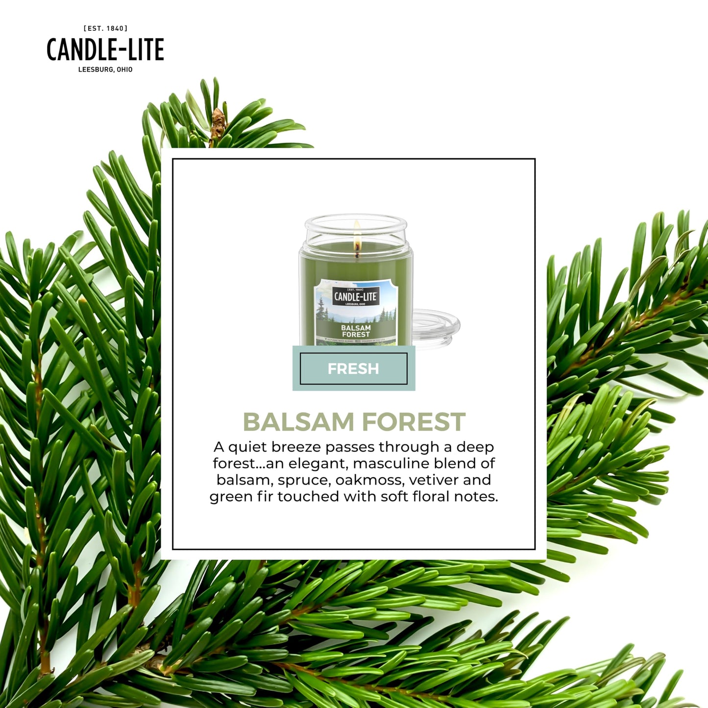 Candle-lite Fall Scented Candles, Balsam Forest Fragrance, 18 oz Jar, Proudly Poured in USA, Aromatherapy Candle, Single-Wick with 110 Hours of Burn Time, Perfect for Creating a Refreshing Ambiance