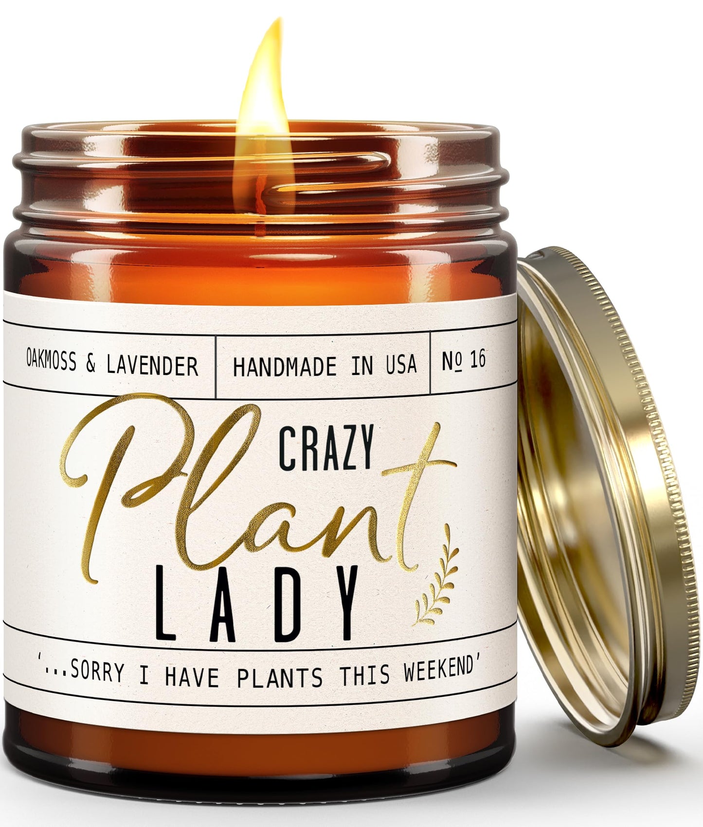 Plant Lady Gifts for Women, Soy Candle, w/Oakmoss & Amber I Plant Lady Themed Ideas I Gifts for Plant Lovers I 50Hr Burn, USA Made