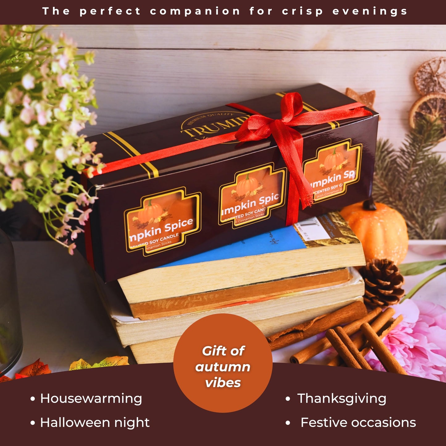 Pumpkin Spice - Cinnamon Soy Candles for Home Scented - for Fall Halloween Thanksgiving Holidays - Pack of 3 x 5oz Natural Clean Non Toxic Long Lasting Highly Scented Candels with Essential Oils