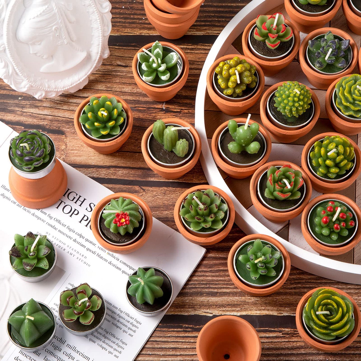 Shihanee 24 Pack Succulent Candles with Terracotta Pot Novelty Handmade Stylish Plant Candles Gifts for Baby Shower Birthday Wedding Party Favors Home Decor Valentine Gift