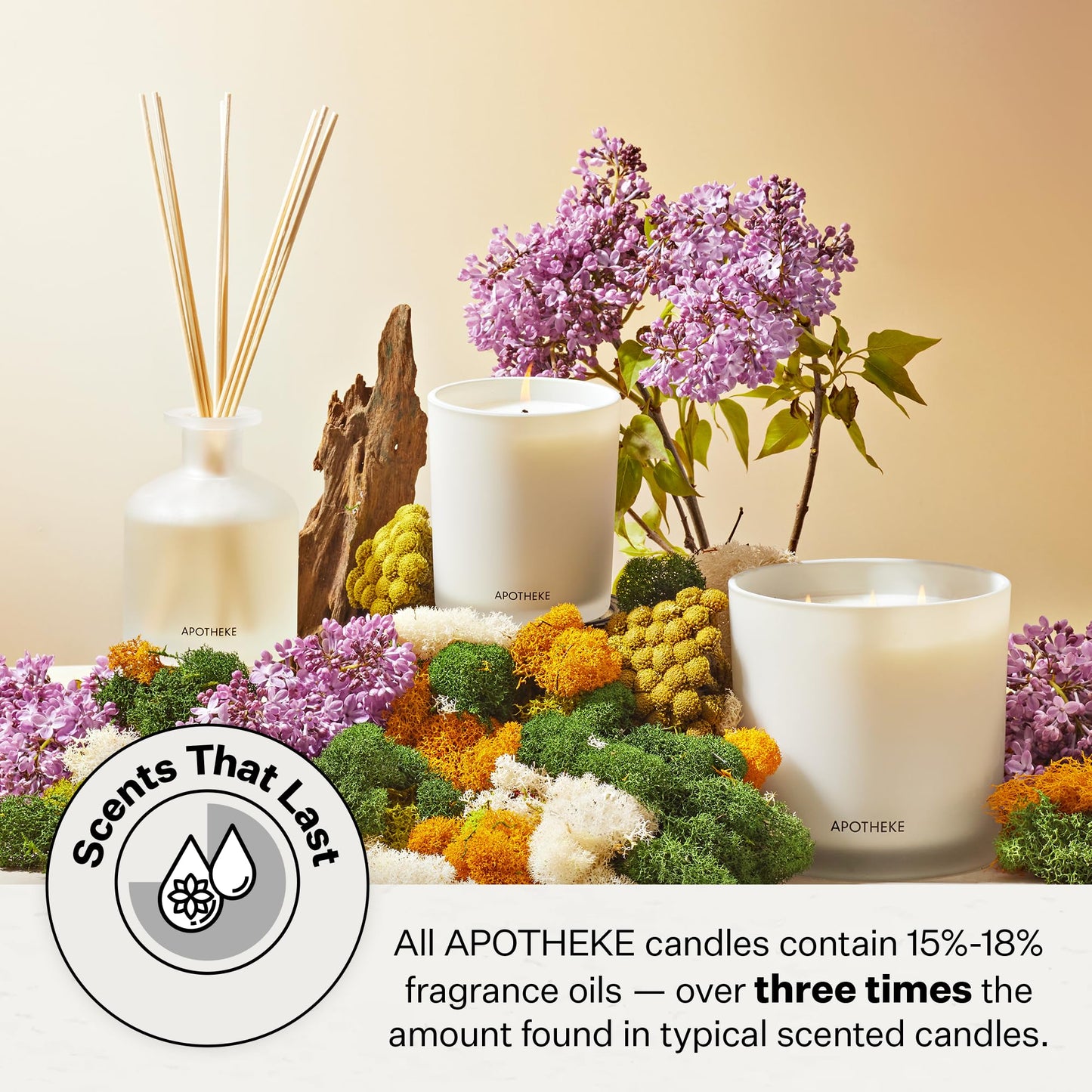 Apotheke Signature Scented Candles for Home, Wild Mint & Ivy - 10.5 oz - Soy Wax, Non Toxic, Large Jar White - Luxury Candle Gifts for Women & Men - Eucalyptus, Patchouli, Cedarwood, and Rose