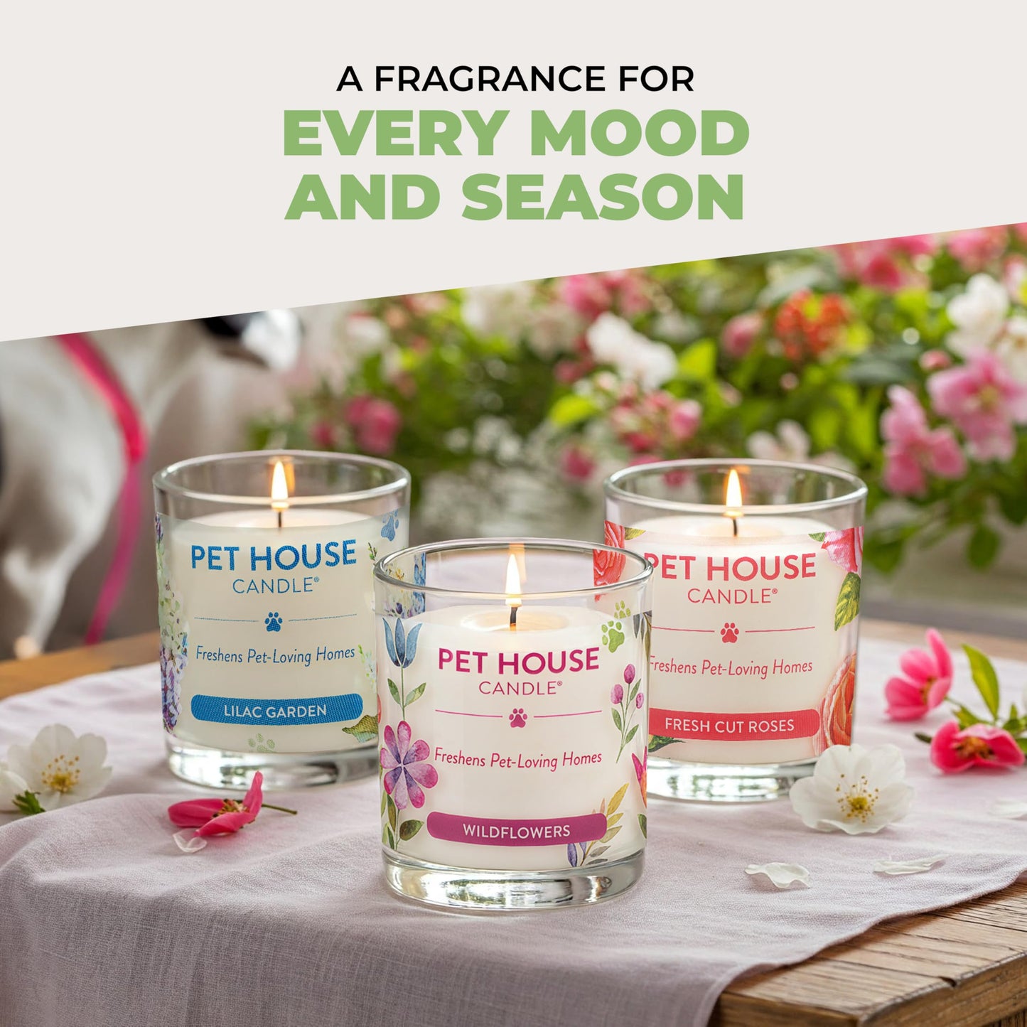Pet House Candles, Natural Plant-Based, Long Lasting Candles for Pet Odor, 60 Hour Burn Time - Juicy Melon, 9 oz