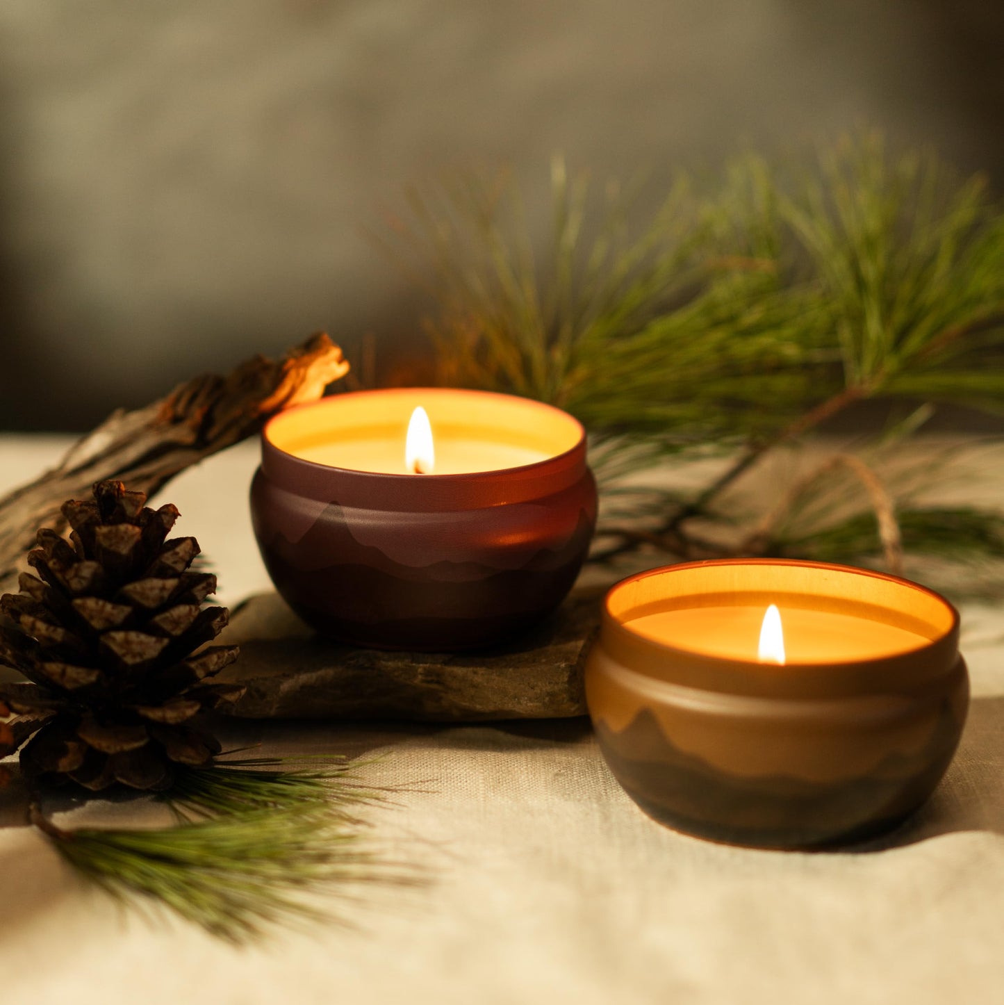 Bluecorn Aromática Scented Candle Tin, Ponderosa Pine, Pine, Cypress & Fir, Vegan Coconut Wax, Clean Burning & Long Lasting Christmas Tree Candle, Winter Home Decor, Gifts, American Made, 8 Oz