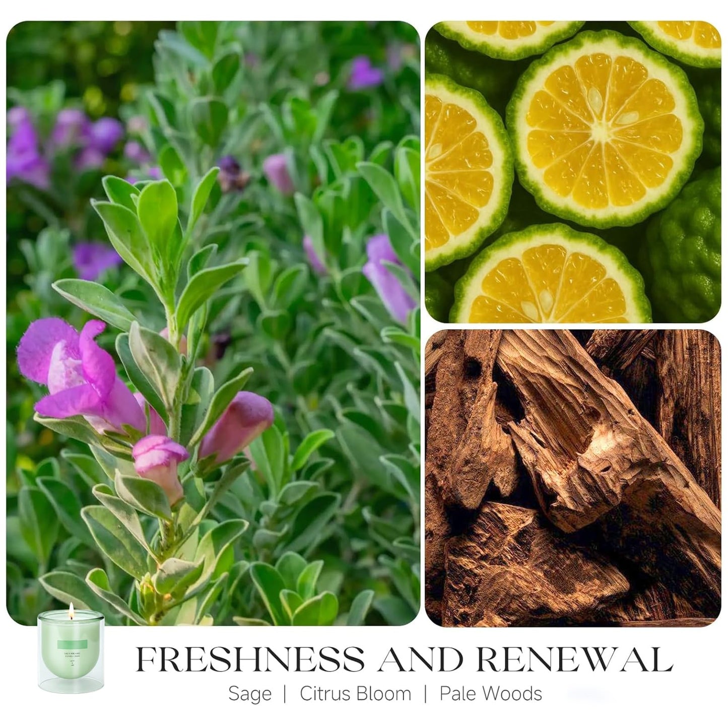 KOIMYSA Sage Citrus Scented Green Candles, Natural Soy Non Toxic Single Wick Aromatherapy Candle for Home Decor, Summer Fragrance