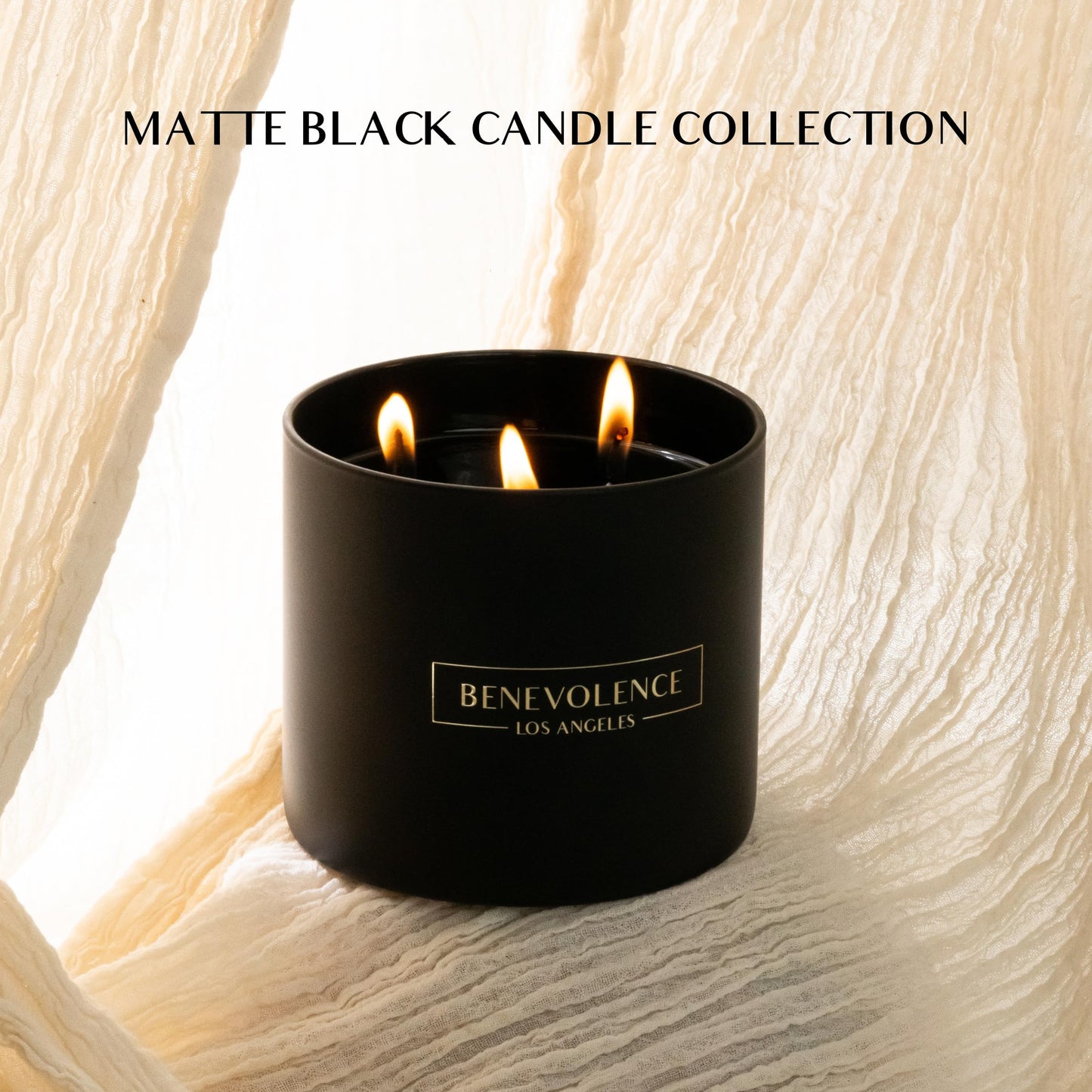 Benevolence LA 3 Wick Candle, Black Berries (Baies) Large Christmas Scented Candles | Soy Holiday Candle for Women and Men | Home Fragrance | Aromatherapy | Bathroom Freshener 14.5 Oz, 45 Hour Burn