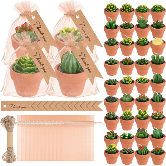 MTLEE 36 Pcs Succulent Tealight Candles - Wedding Party Baby Shower Valentines Gifts Birthday Pack with Terracotta Pot, Organza Bag, Tags, Twines