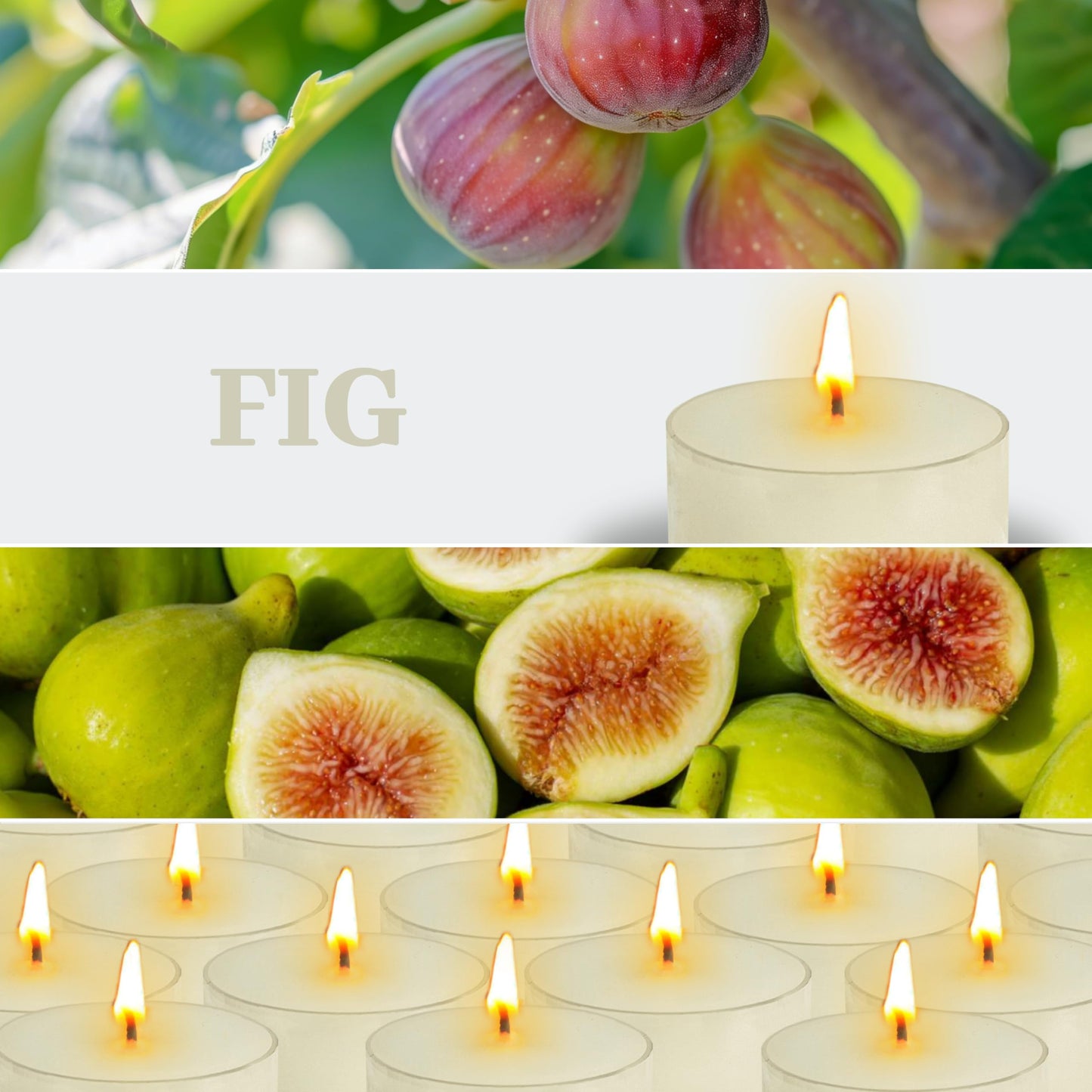 Fig Scented Tea Light Candles 24 Pack Beige Hand Poured Smokeless 4 Hours Clean Burning Small Round Clear Cups Tealight Candles for Romantic Dinners Wedding Centerpieces Cozy Evenings