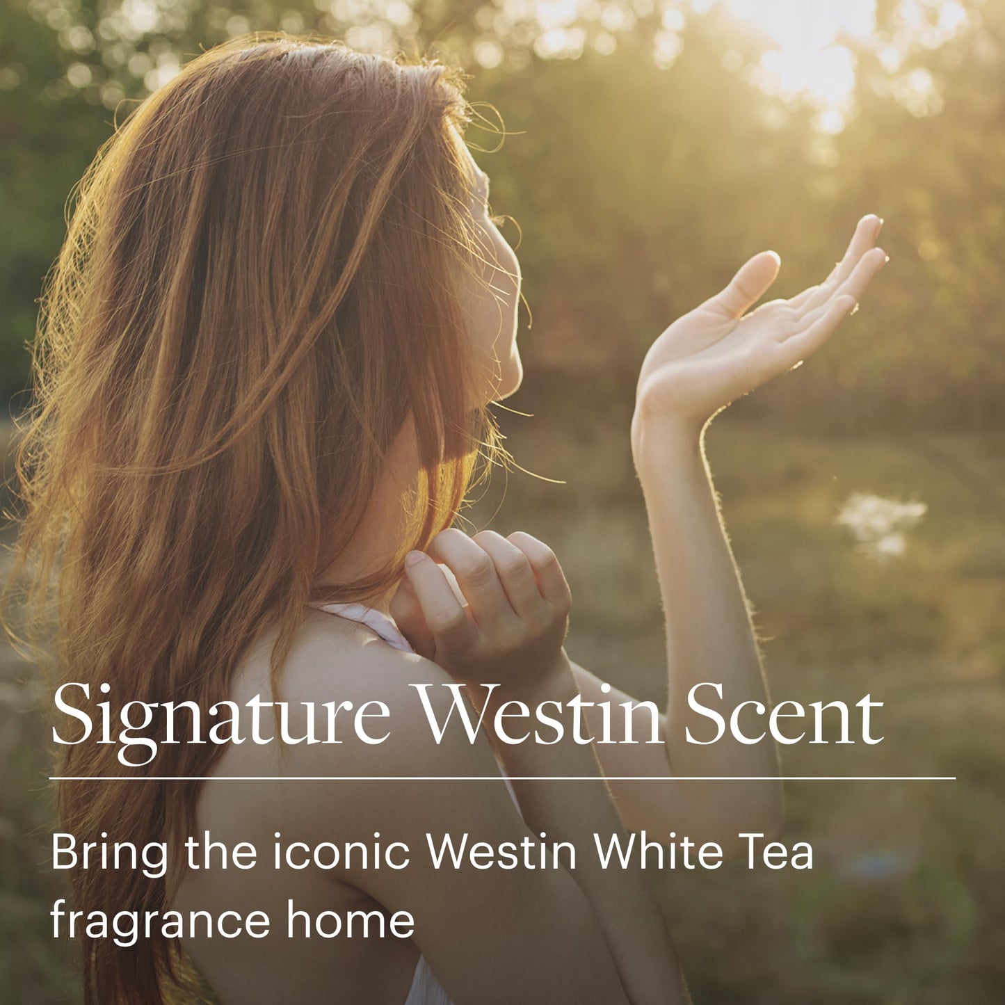 Westin White Tea Candle - Hand-Poured, Soy Candle with Signature White Tea Scent -12.5 oz.