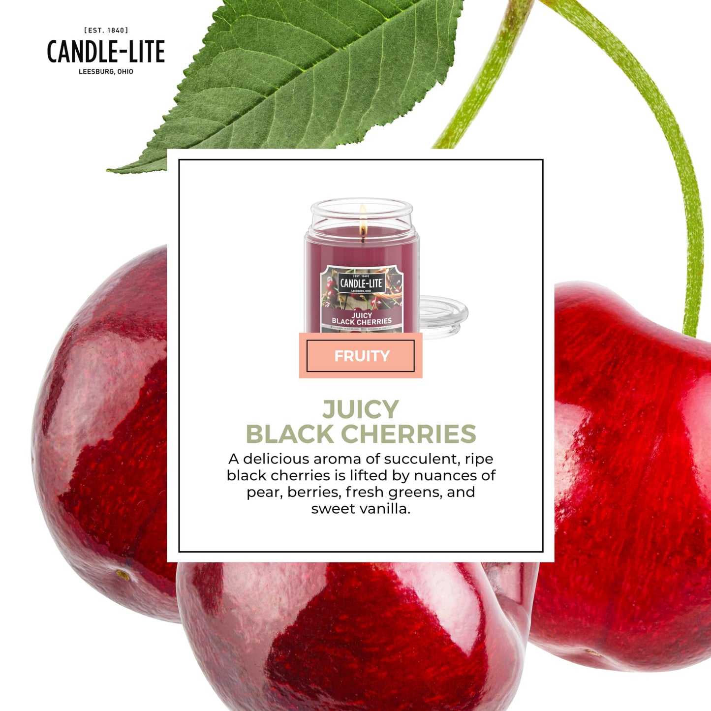 CANDLE-LITE Scented Juicy Black Cherries Fragrance, One 18 oz. Single-Wick Aromatherapy Candle with 110 Hours of Burn Time, Dark Red Color, Jar