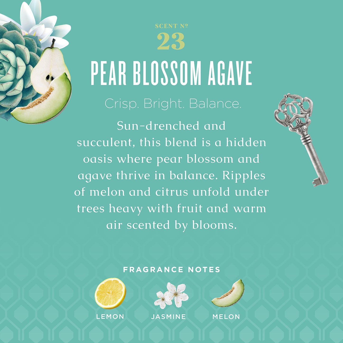 Caldrea Hand Lotion, For Dry Hands, Made with Shea Butter, Aloe Vera, and Glycerin and Other Thoughtfully Chosen Ingredients, Pear Blossom Agave Scent, 10.8 oz (Packaging May Vary)