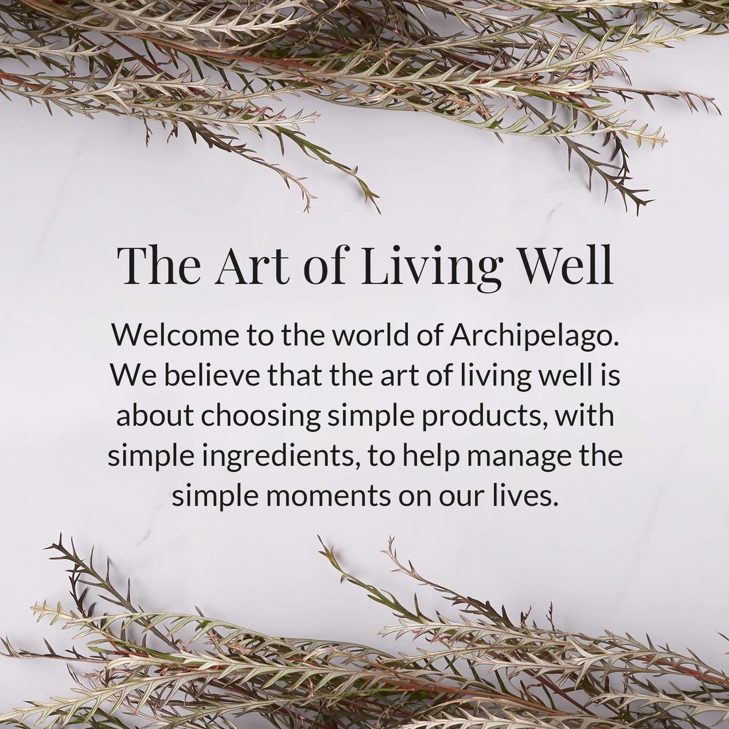 Archipelago Botanicals Lanai Glass Jar Candle, Pineapple, Mandarin and Ginger Scent, Lead-Free Candle Wicks, Burns Approx. 60 Hours (8.6 oz) (Pack of 2)