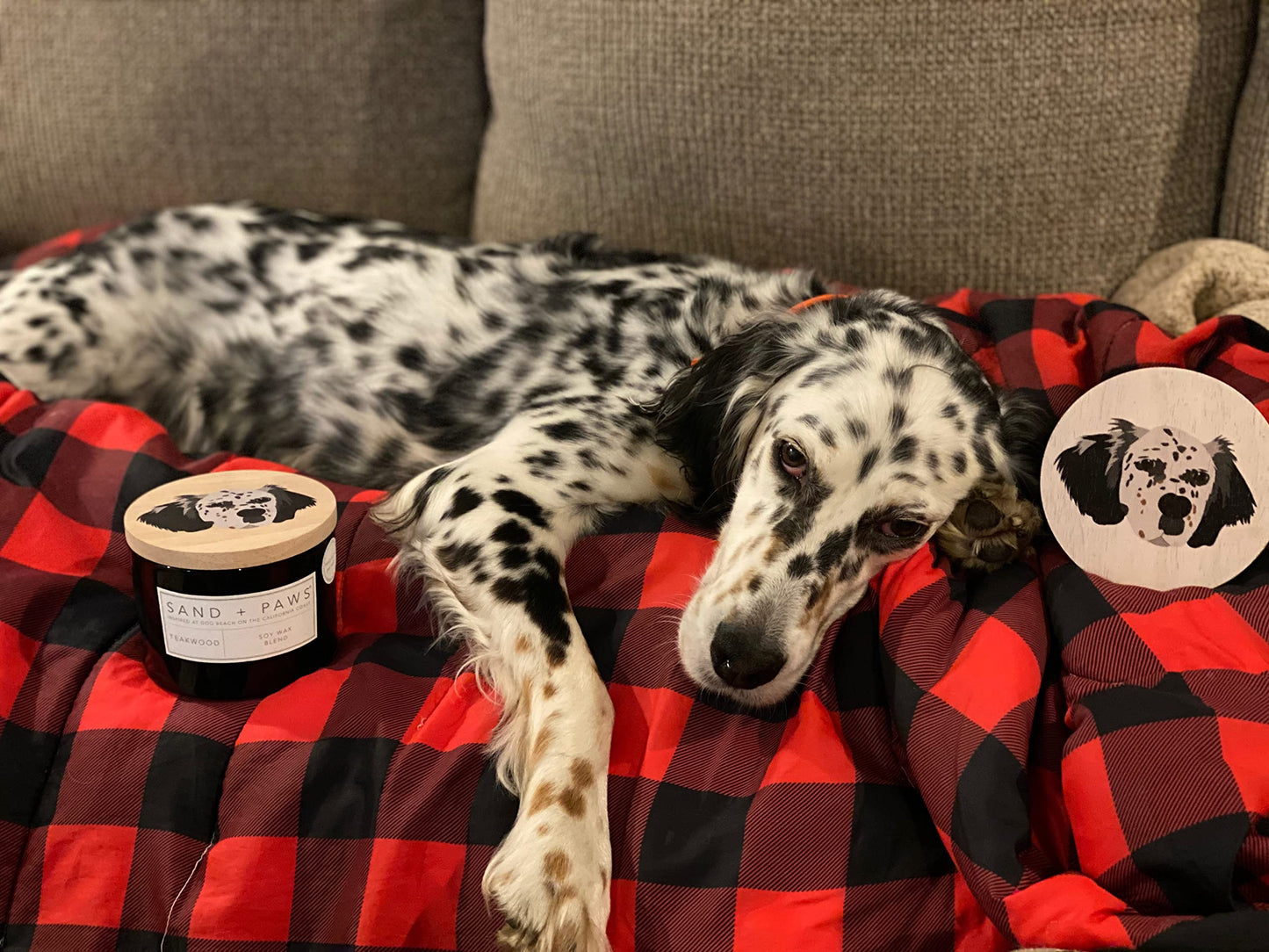 Sand + Paws Scented Candle - Fresh Jasmine - Additional Scents and Sizes –Luxurious Air Freshening Jar Candles Neutralize pet Odors and Enhance Home décor – 100% Cotton Lead-Free Wicks - 12 oz