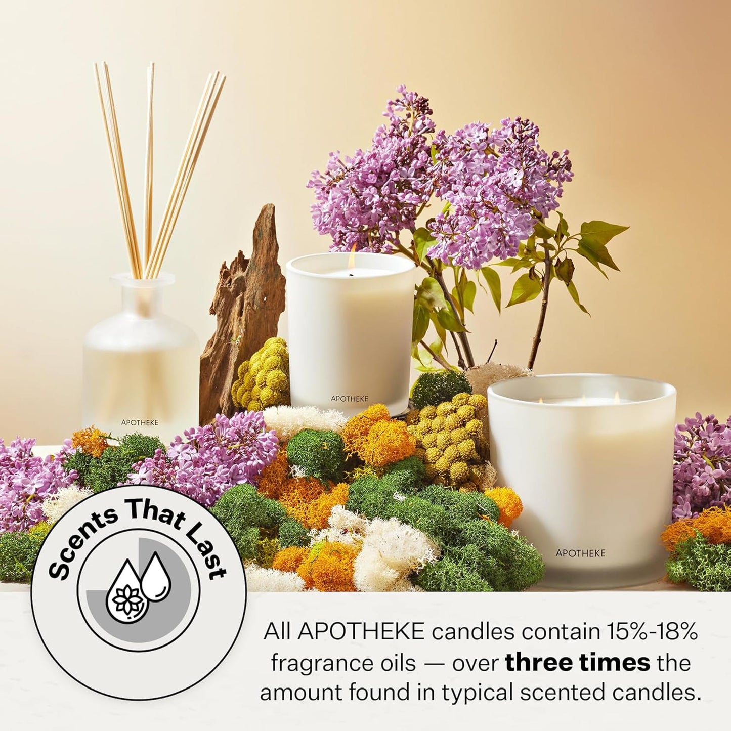 Apotheke Signature Scented Candles for Home, Santal Rock Rose - 10.5 oz - Soy Wax, Non Toxic, Large Jar White - Luxury Candle Gifts for Women & Men - Sandalwood, Rose, Musk, and Leather