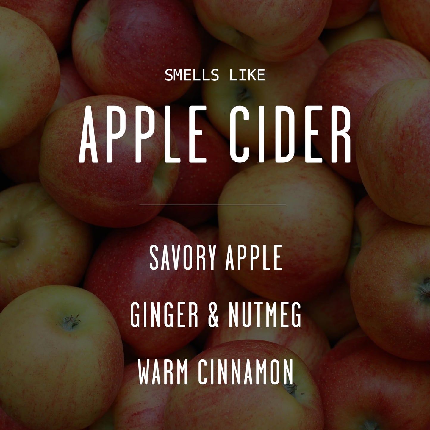 Apple Cider Candle, Fall Candles I Apple Cider, Cinnamon & Nutmeg - Infused with Essential Oils I Mulled Cider Fall Scented Candle (Soy) for Home I 9oz Reusable Jar I 50Hr Burn I Made in USA