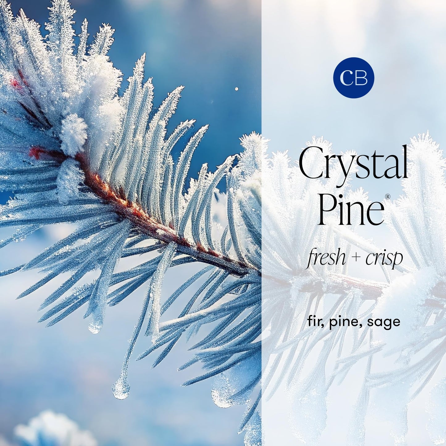 Capri Blue Pattern Play Signature Holiday Candle - Luxury Holiday Scented Candle for Home- Long Lasting Soy Wax Blend - Comes in Decorative Glass Jar (Crystal Pine, 8 oz)