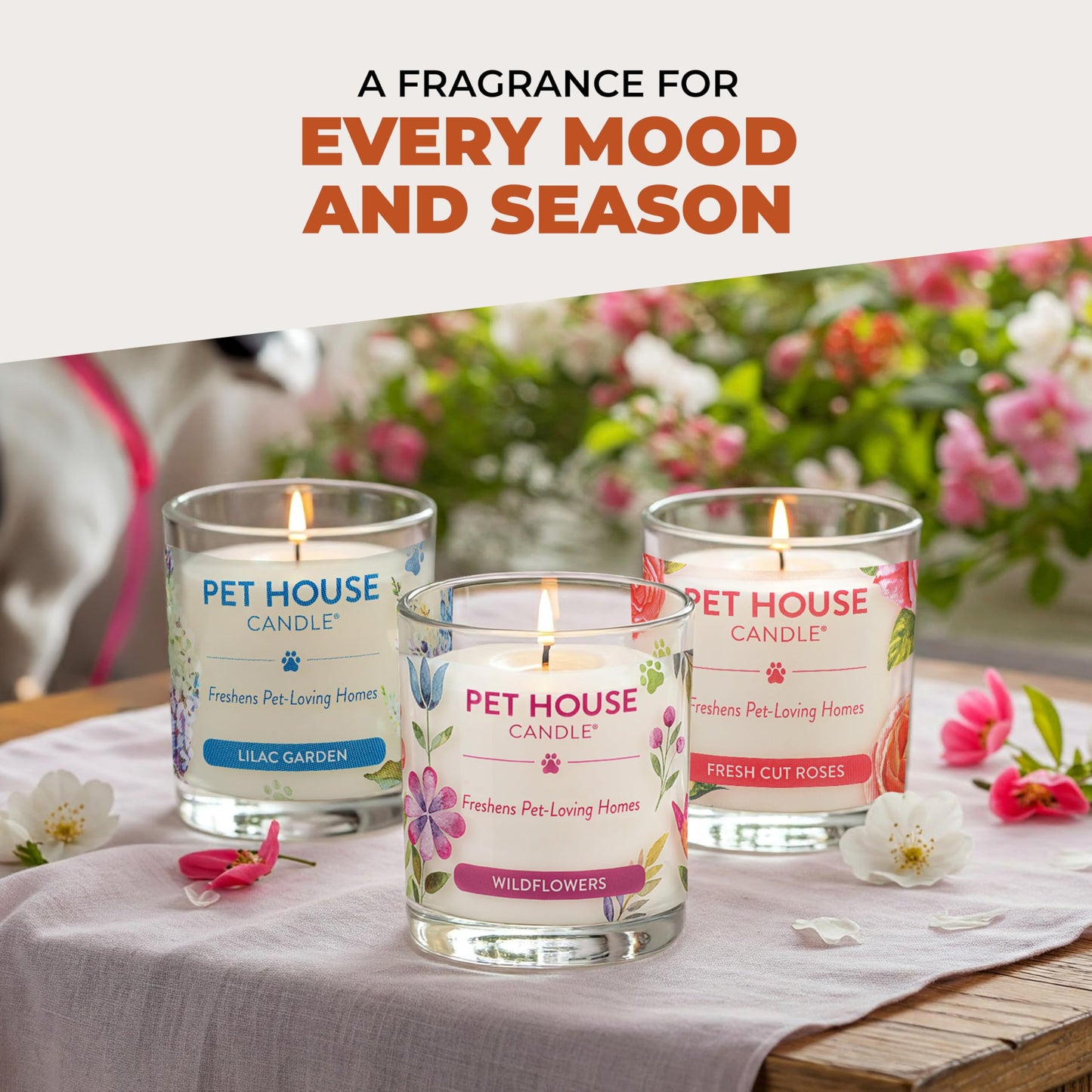 One Fur All Pet House Candle Plant-Based/Soy - Clean Burning Scented, Long Lasting Pet Odor Candle for Home - Vanilla Sandalwood