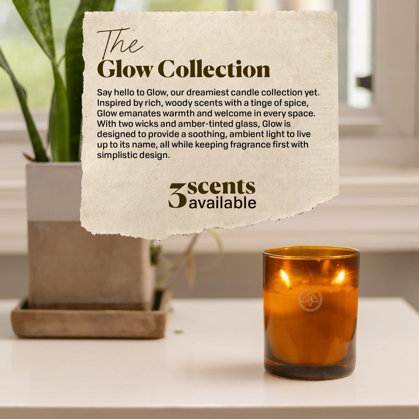 Paddywax Scented Candles Glow Two-Wick Glass Soy Wax Blend Candle, 10-Ounce, Mandarin & Musk