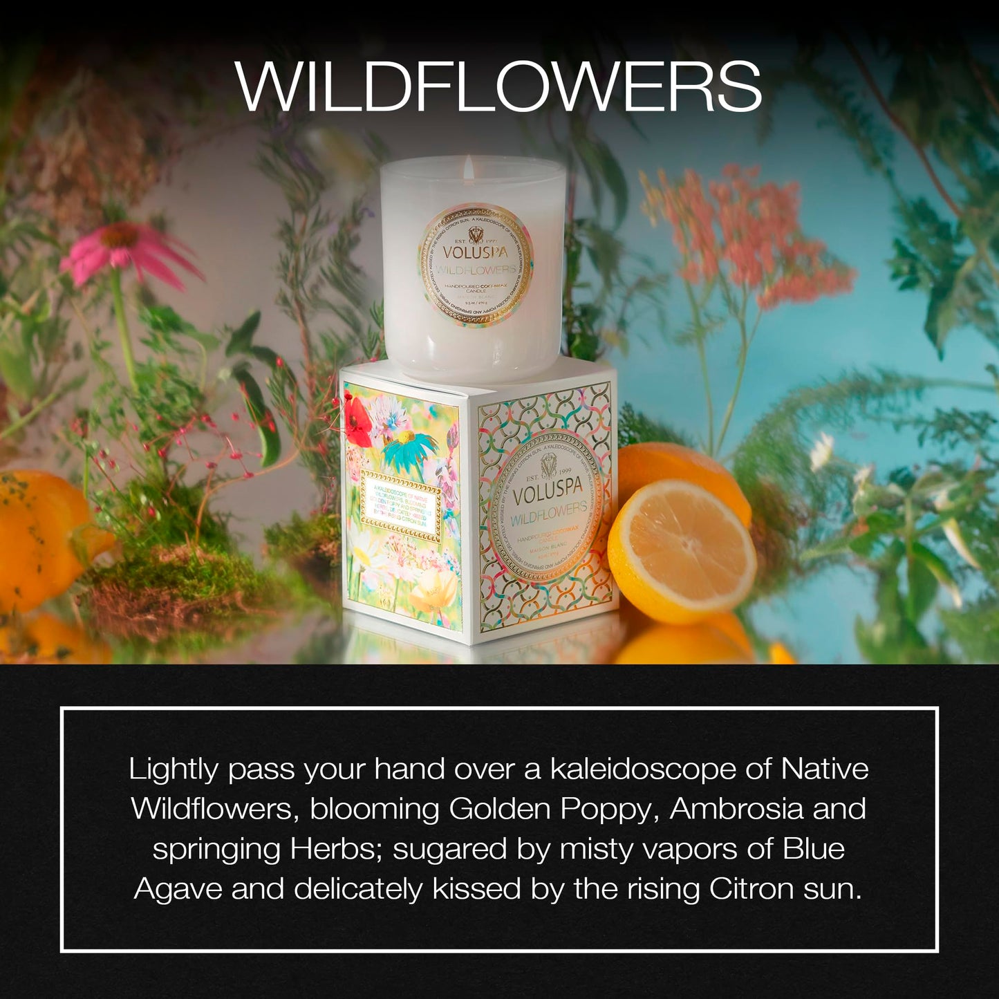 Voluspa Wildflowers, Classic Boxed Candle, 9.5 Ounce, 60 Hour Burn Time, Coconut Wax for Clean Burning, Handcrafted in the USA