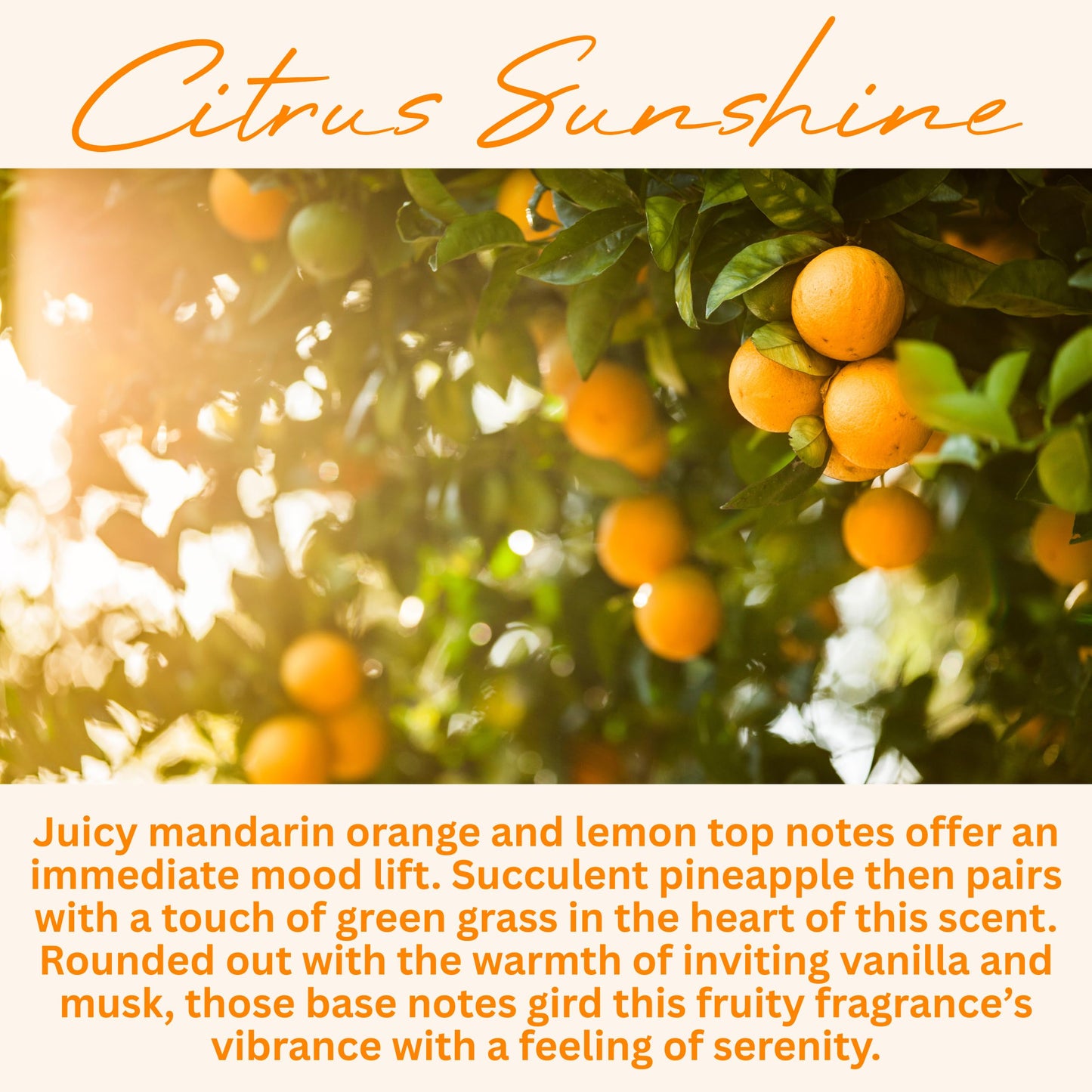Wickless Citrus Scented Candles for Candle Warmer Lamp, Many Scents to Choose, 100% Non-Toxic Soy Wax, Candle Melts for Warming Plate, Handmade in The USA (Citrus Sunshine)
