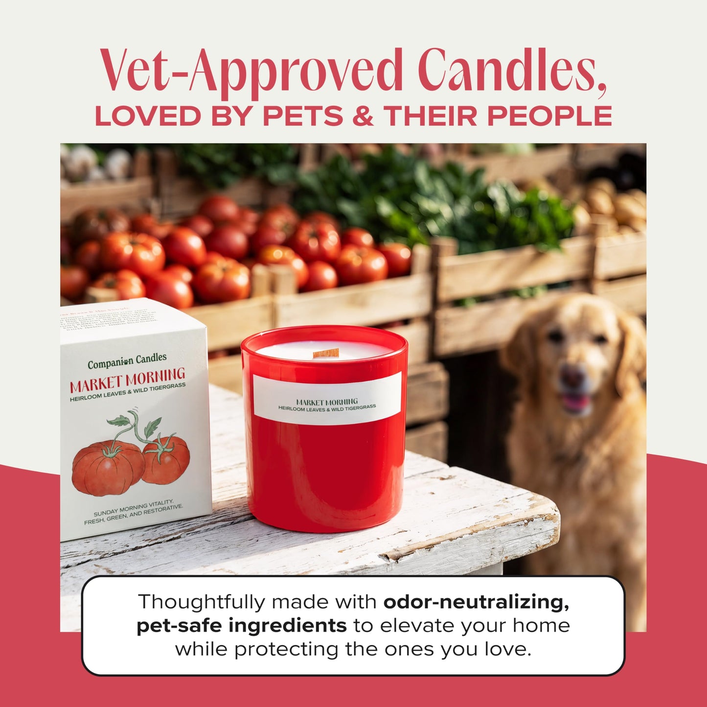 Companion Candles Market Morning Pet Friendly Candle - Heirloom Tomato & Tigergrass - Coconut Soy Wax Non Toxic Candle with Wood Wick, Pet Odor Eliminator, 50hr Burn, Made in USA, 11.8oz