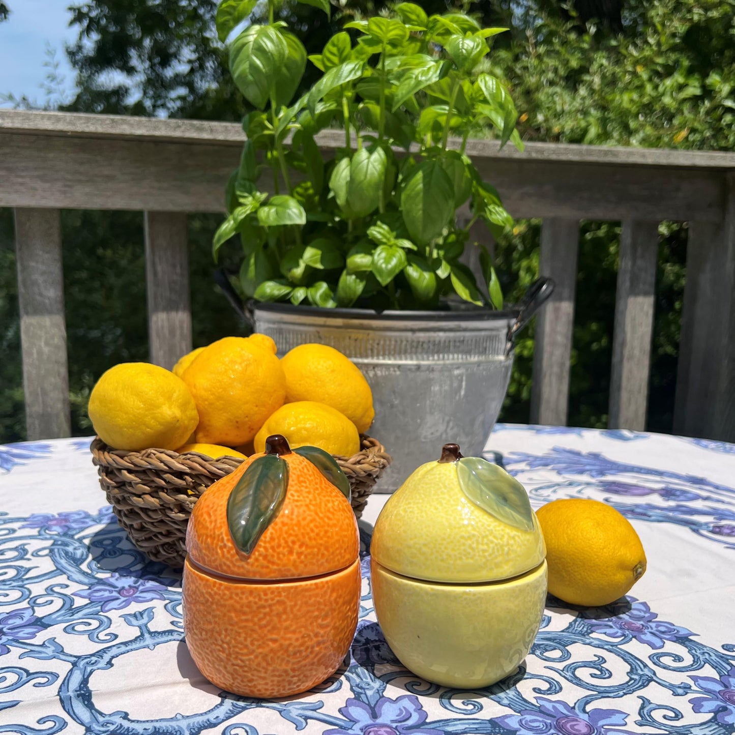 WHW Whole House Worlds Citrus Shaped Candles, Set of 2, 1 Lemon Yellow and 1 Bright Orange Ceramic Jars with Lids, Long Burn Time, 13 hours burn time, 4.75 Inches Each