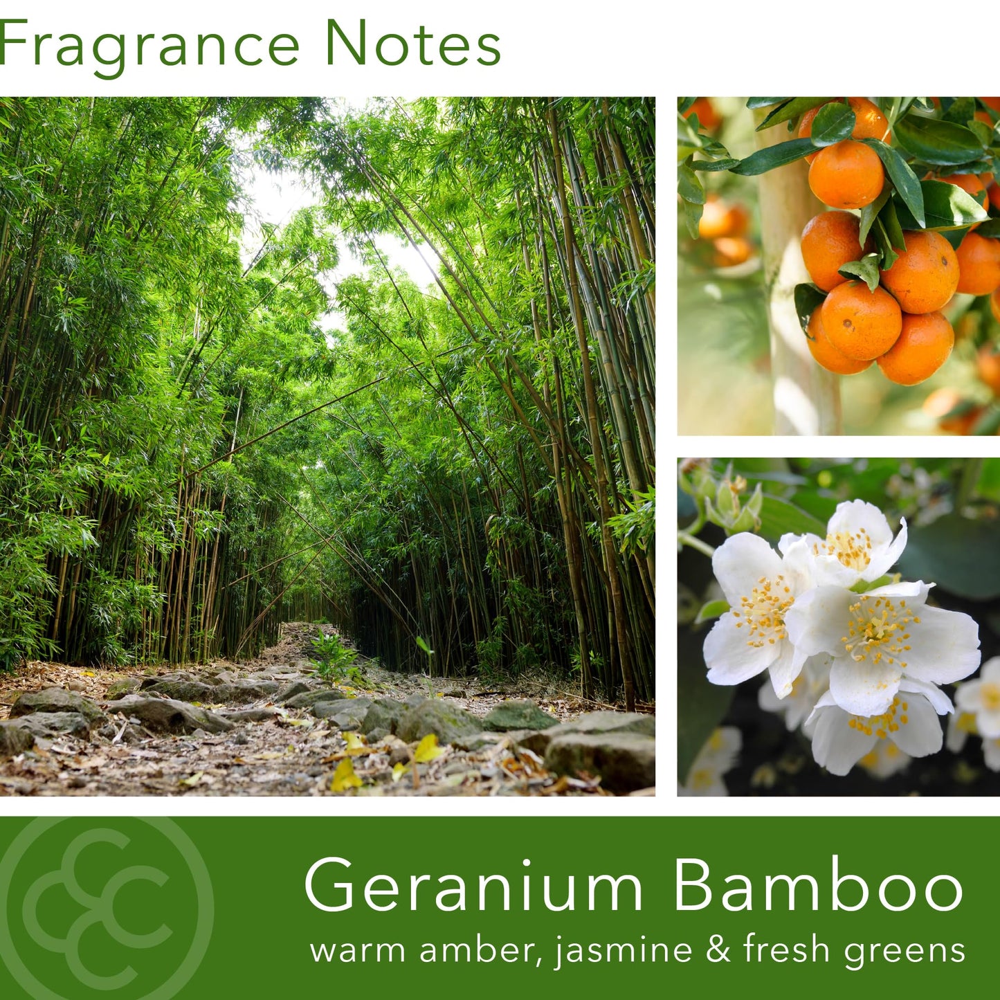Colonial Candle Geranium Bamboo Scented Candle, 2-Wick Natural Soy Blend Wax Candle Infused with Essential Oils, 14 oz Apothecary Glass Jar Candle - Made in The USA