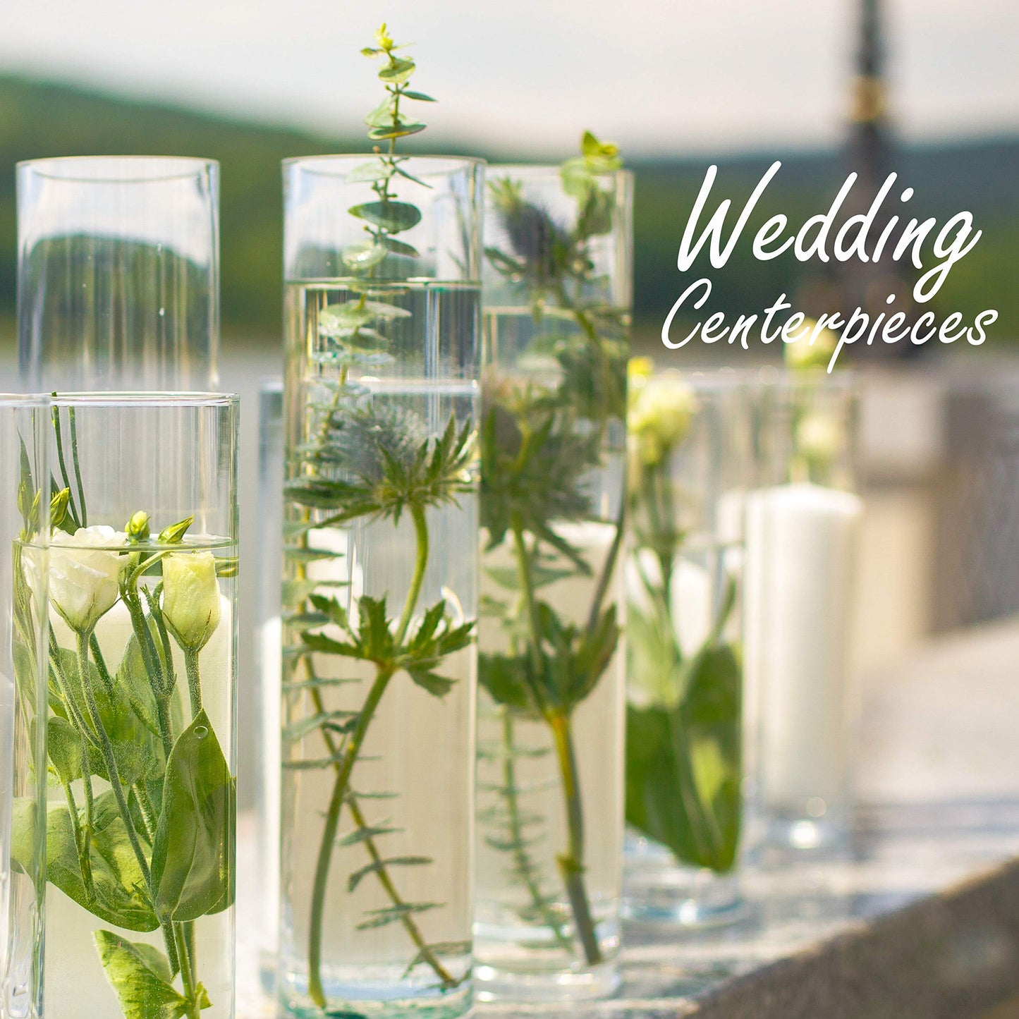 CYS Excel Clear Glass Cylinder Vase (H:28" D:4") | Multiple Size Choices Glass Flower Vase Centerpieces | Hurricane Floating Candle Holder Vase