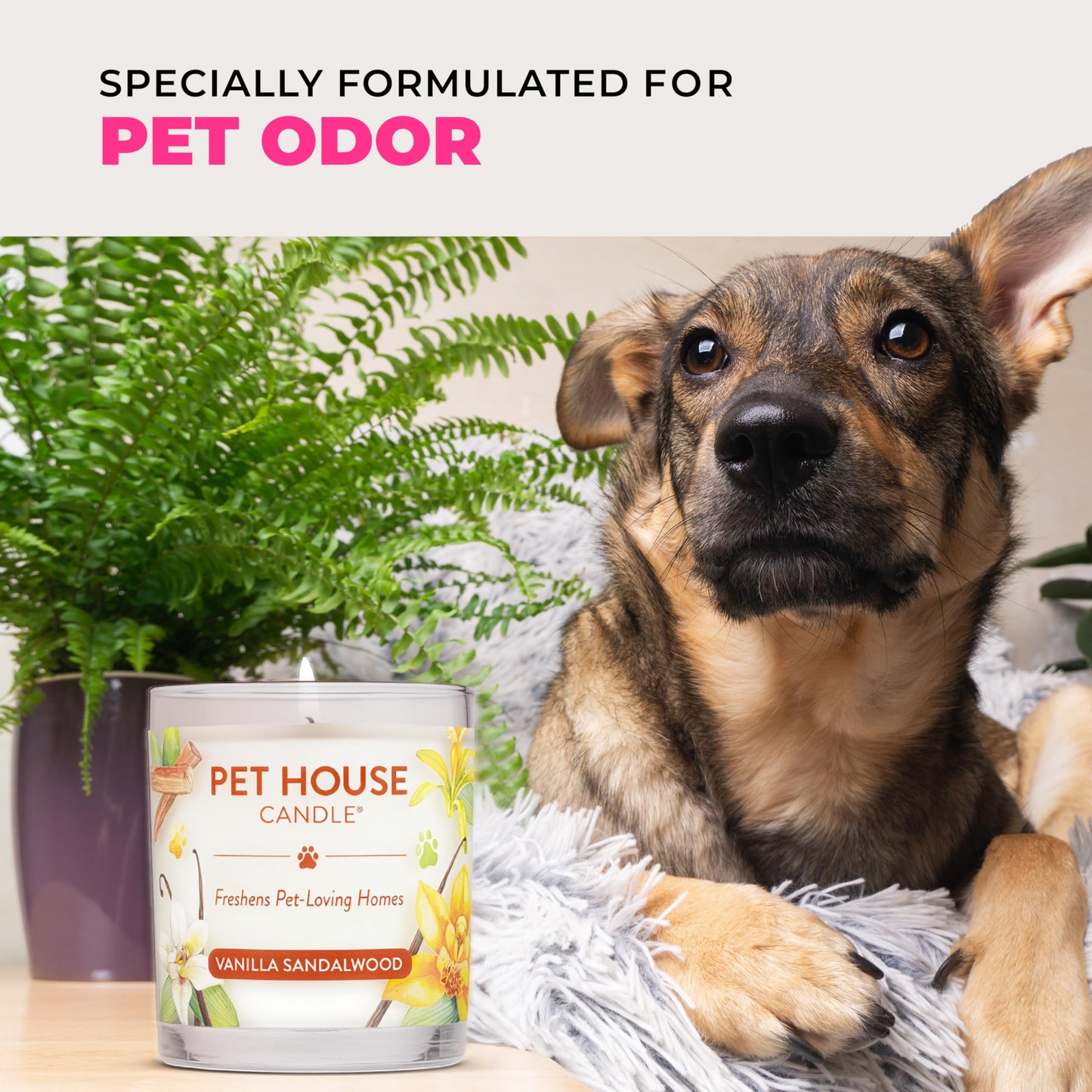 Pet House Candles, Scented Candles for Pet Homes, Natural Plant-Based, 60 Hour Burn Time - Pink Sugar, 9 oz