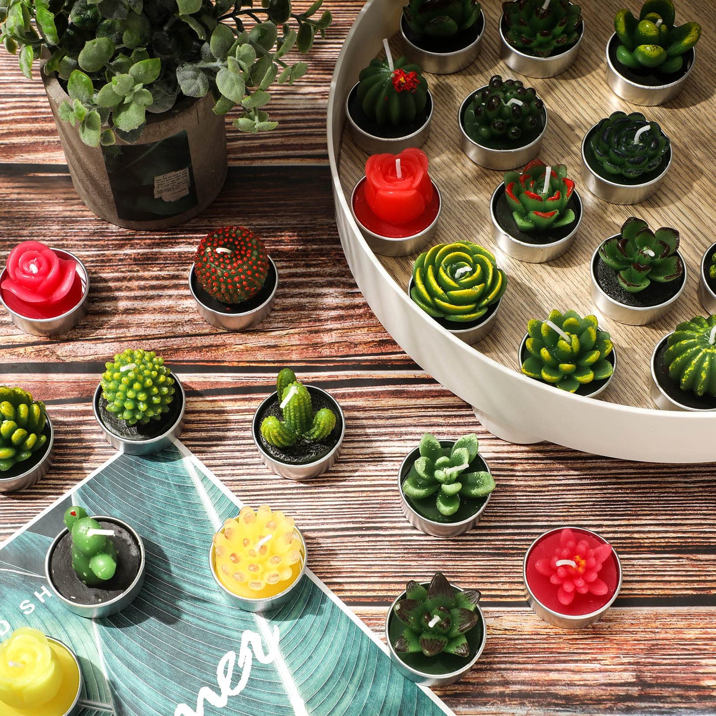 Lounsweer 72 Pcs Cactus Tealight Candles Artificial Succulents Tealight Candles for Birthday Shower Wedding Spa Party Favors Gifts Home Decor