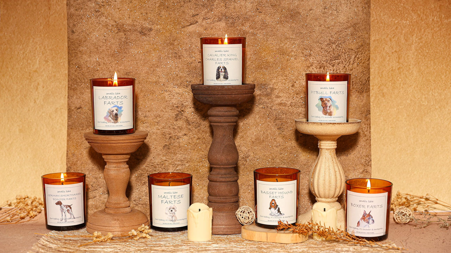 Pitbull Gifts & Decor, Pitbull Gifts for Women, Dog Farts Candle - Lavender & Eucalyptus, Crafted by Natural Soy Wax & Natural Essential Oils