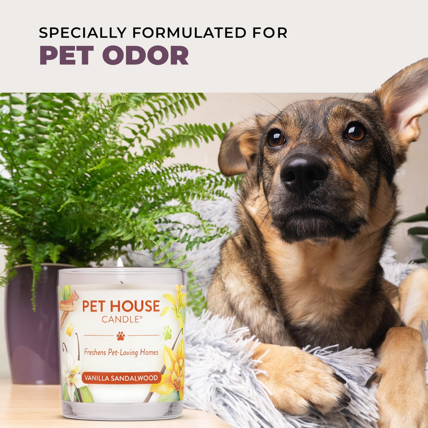 Pet House Lavender Candle Clean Burning, Long Lasting Pet Odor Candle for Home - Lavender Green Tea